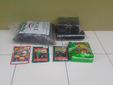 Benih, Batu Malang, Pupuk dan Polybag