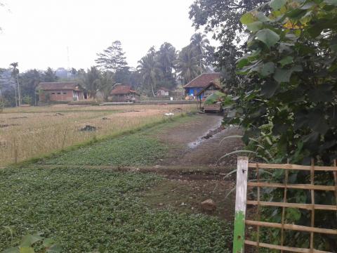 Lahan di Samping MTs dan SMK KH. Wahab Muhsin