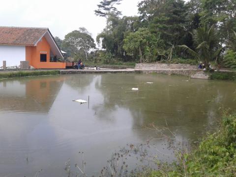 Pondok Pesantren Nurul Wafa, Gununghideung, Sukarame, Kab. Singaparna